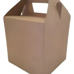 Caixa Box Alca Papel Jenny 100 Unid